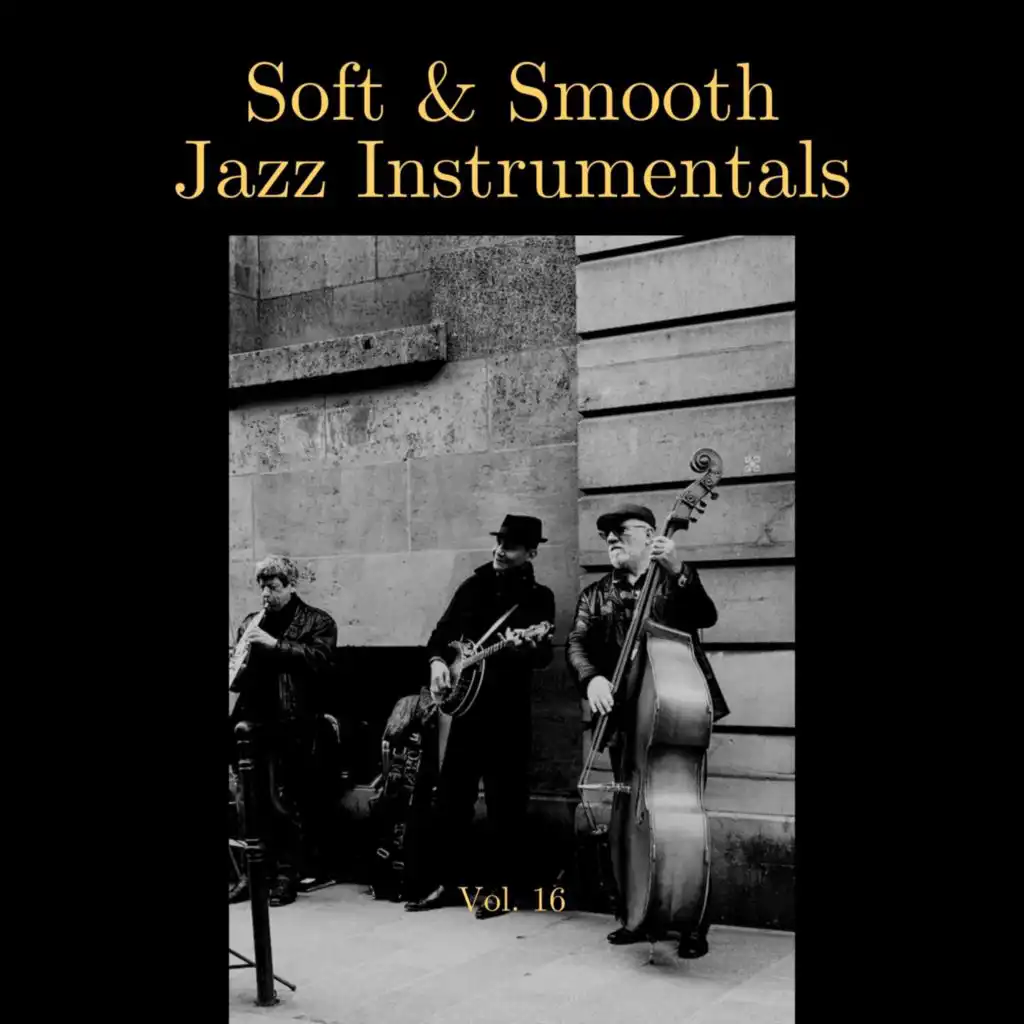 Soft & Smooth Jazz Instrumentals, Vol. 16