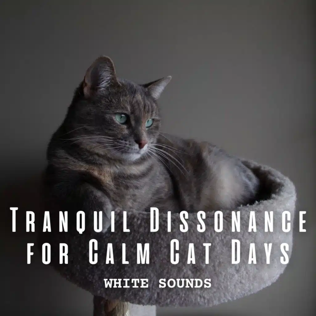 White Noise: Tranquil Dissonance for Calm Cat Days