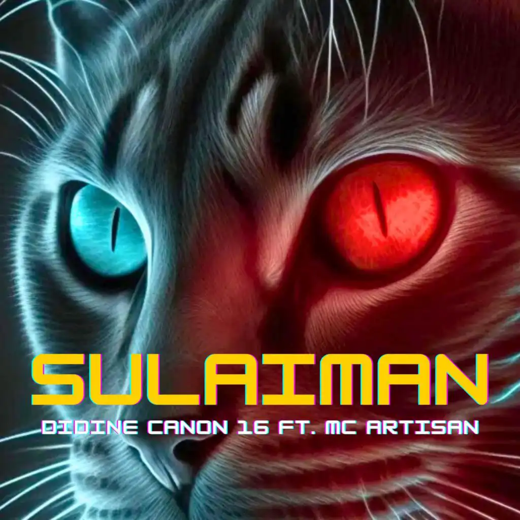 SULAIMAN (feat. Mc Artisan)