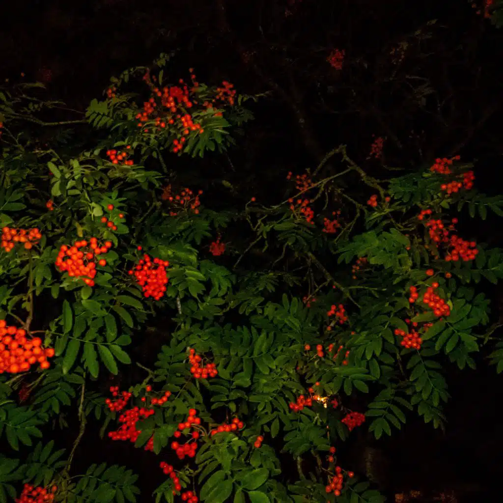 as these memories fade