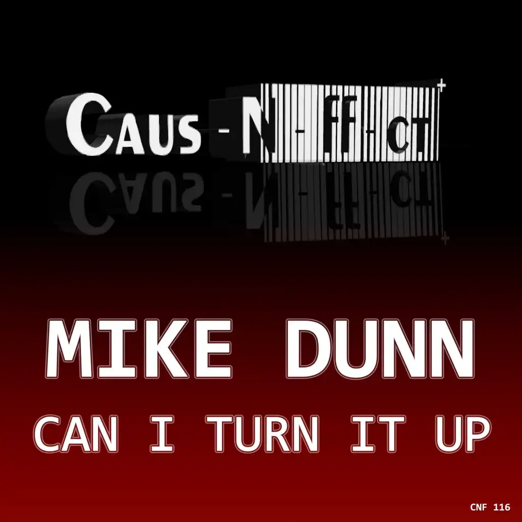 Can I Turn It Up (Martin Brodin Remix)