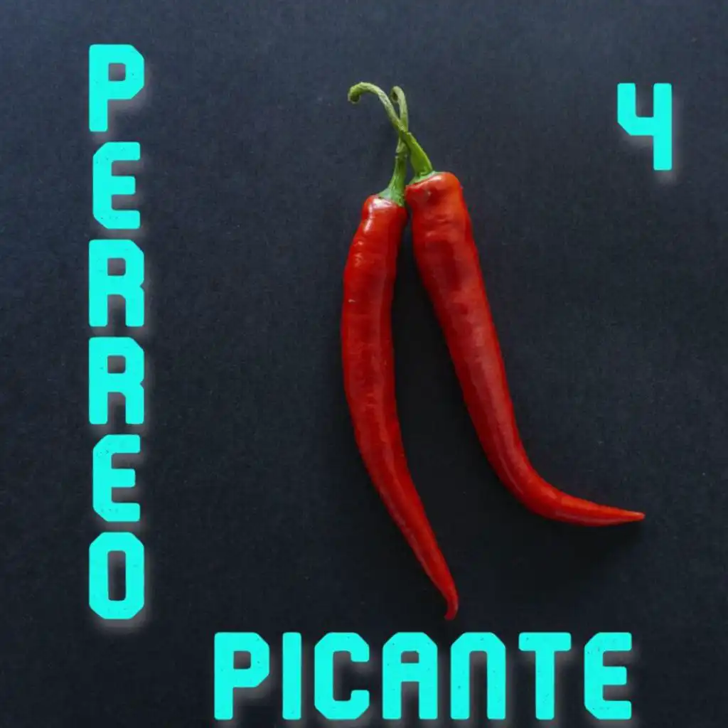 Perreo Picante Vol. 4