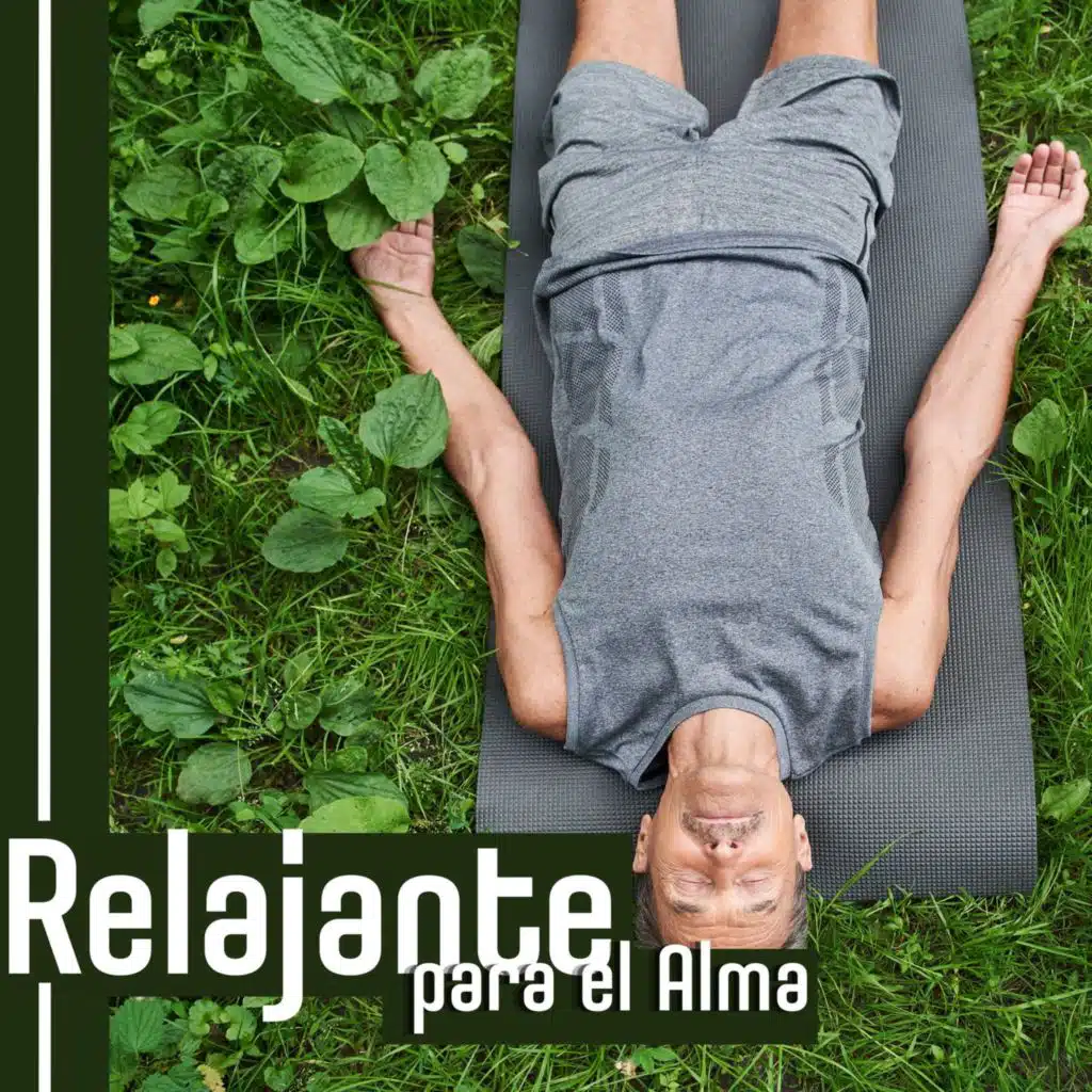 Relajante para el Alma: Melodías Tranquilas para Combatir el Estrés