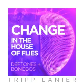 Change (In the House of Flies)