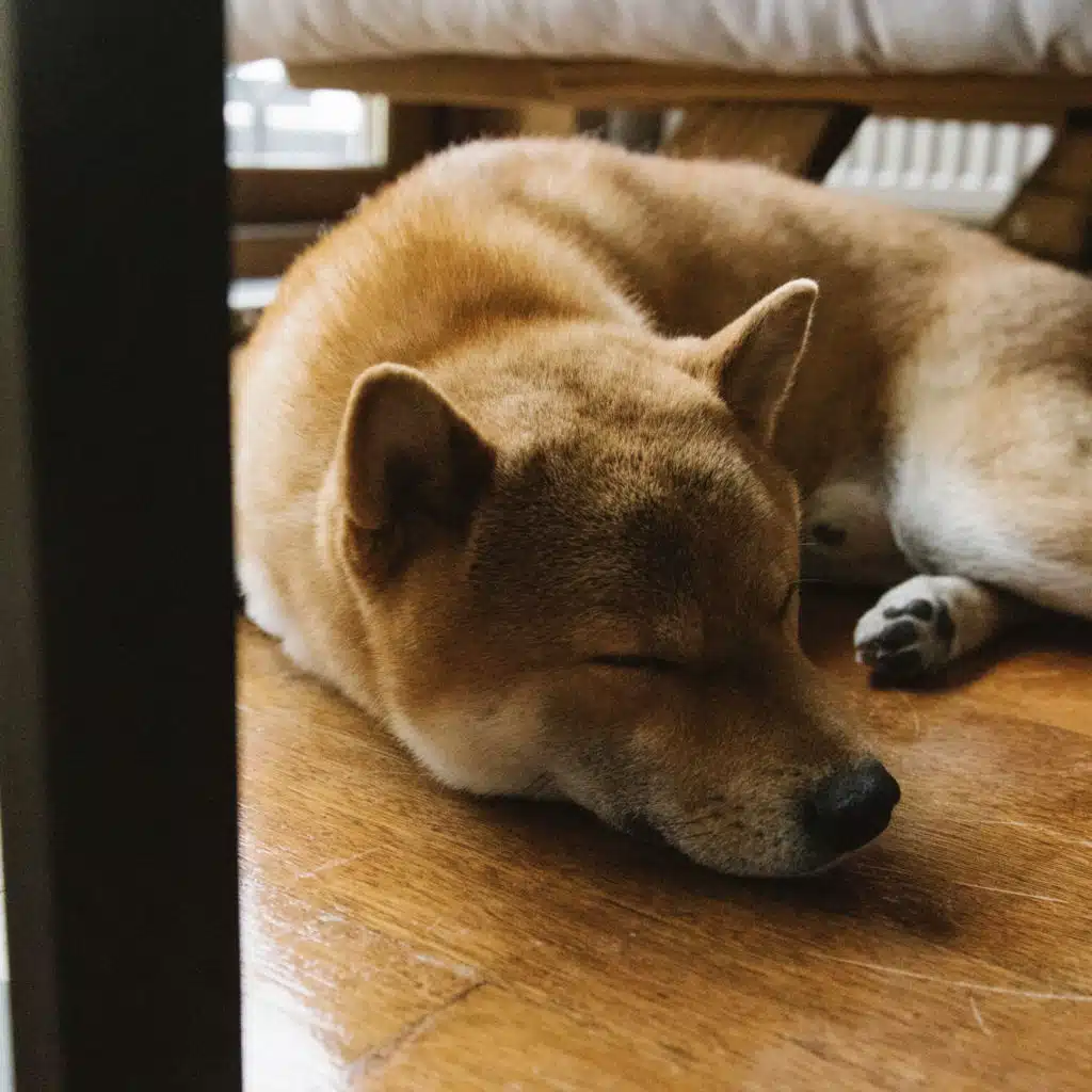 Piano Sound Architect