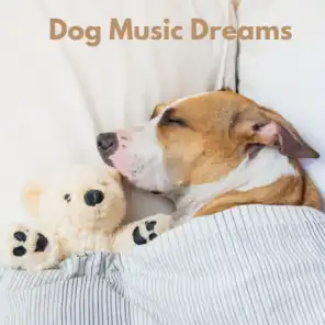 Sleeping Music For Dogs