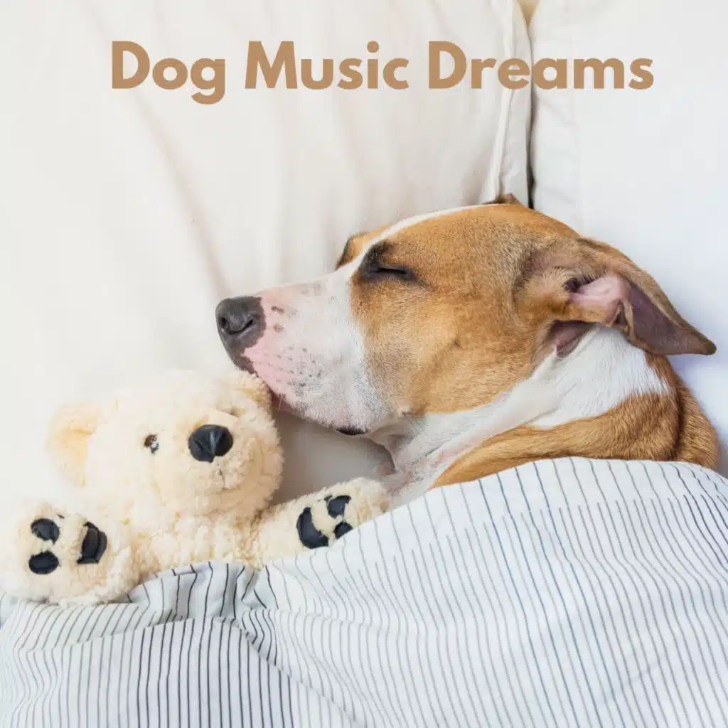 Pet Care Music Therapy