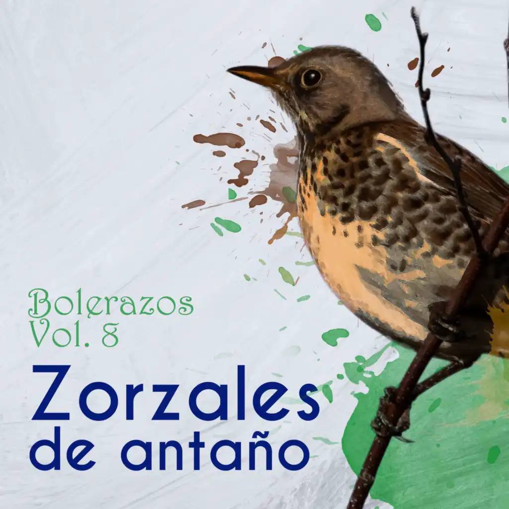 Zorzales de Antaño - Bolerazos, Vol. 8