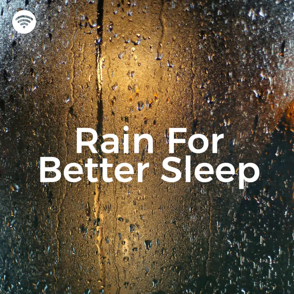 Rain for Better Sleep: Silent Night Rain Sounds