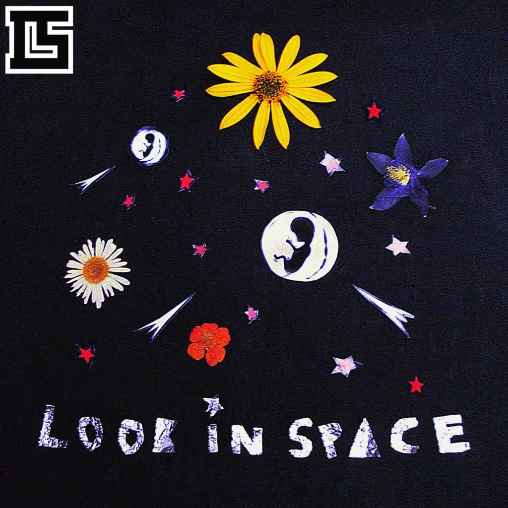 Look in Space
