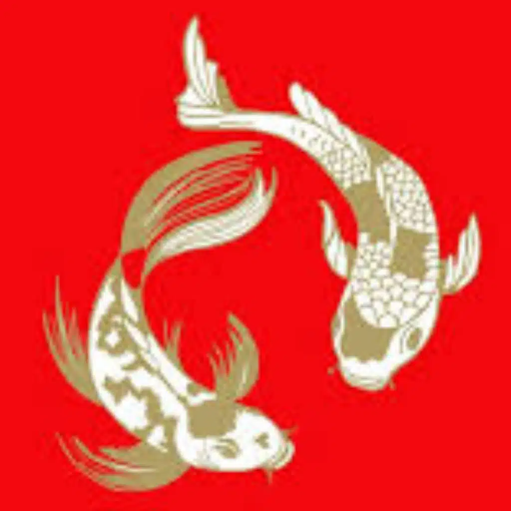 Dj Kaue Original & Mc vn cria