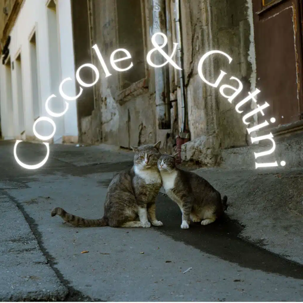 Coccole & Gattini
