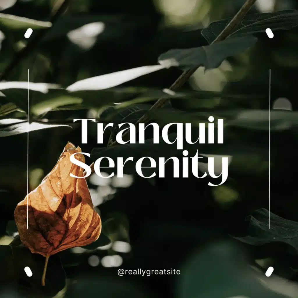 Tranquil Serenity: Soothing Sounds for Deep Relaxation and Stress Relief