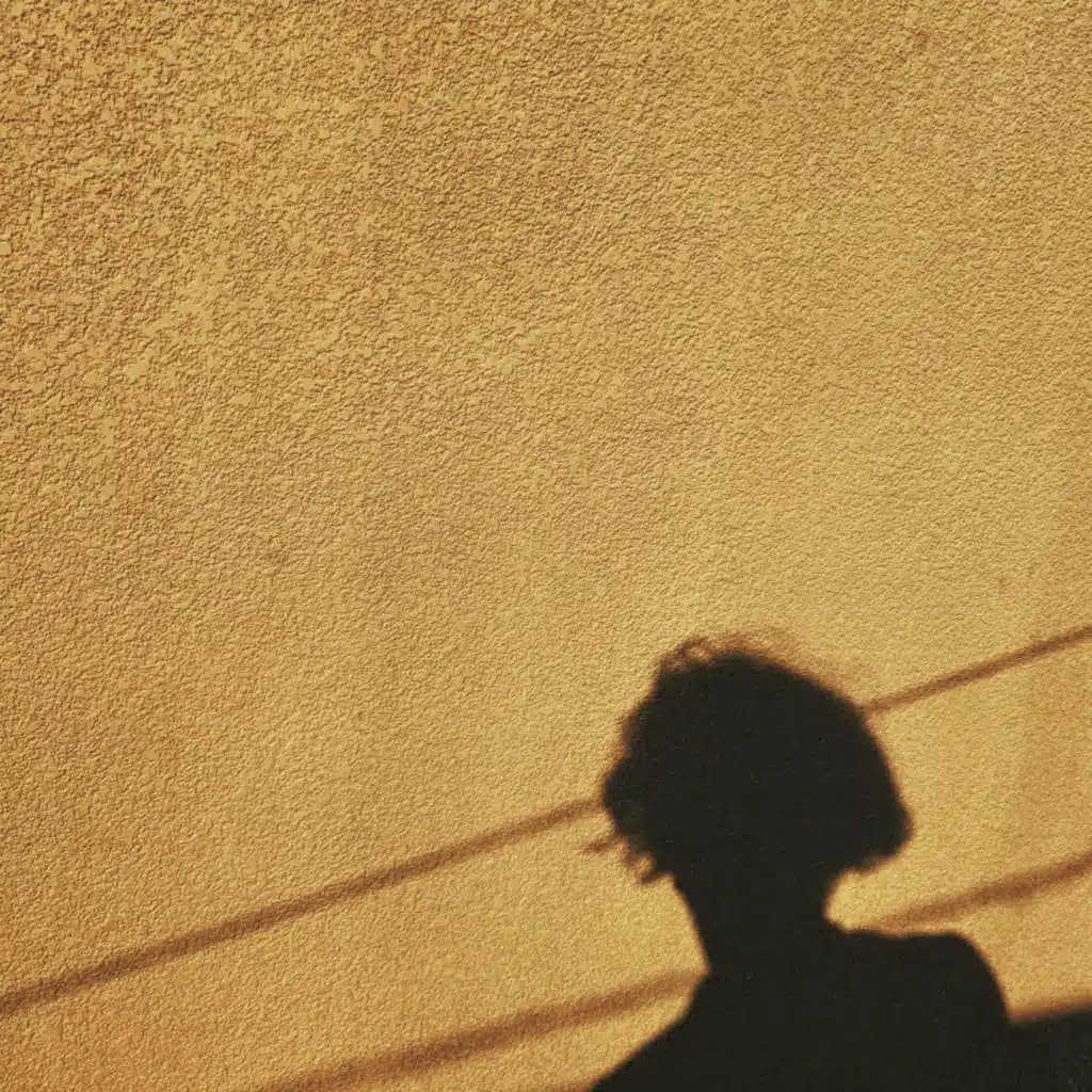 Evangelion / My Neighbor / Cyberpunk