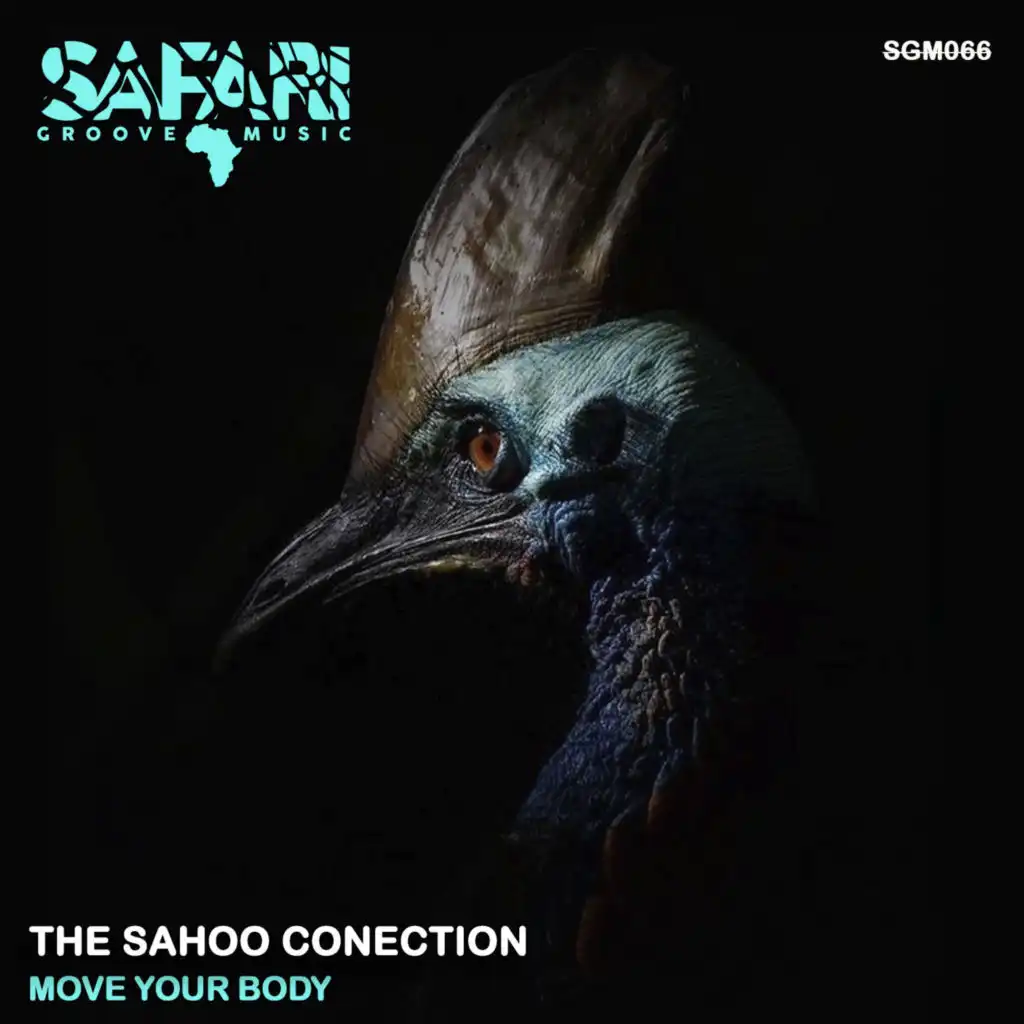 The Sahoo Conection