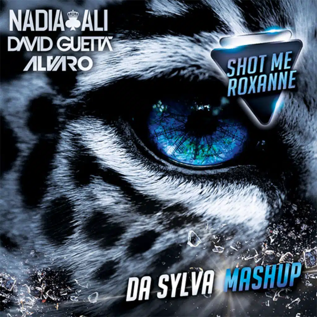 DAVID GUETTA vs NADIA ALI vs ALVARO & JOEY DALE vs MEHRBOD ready for shot me roxanne (da sylva mashup)