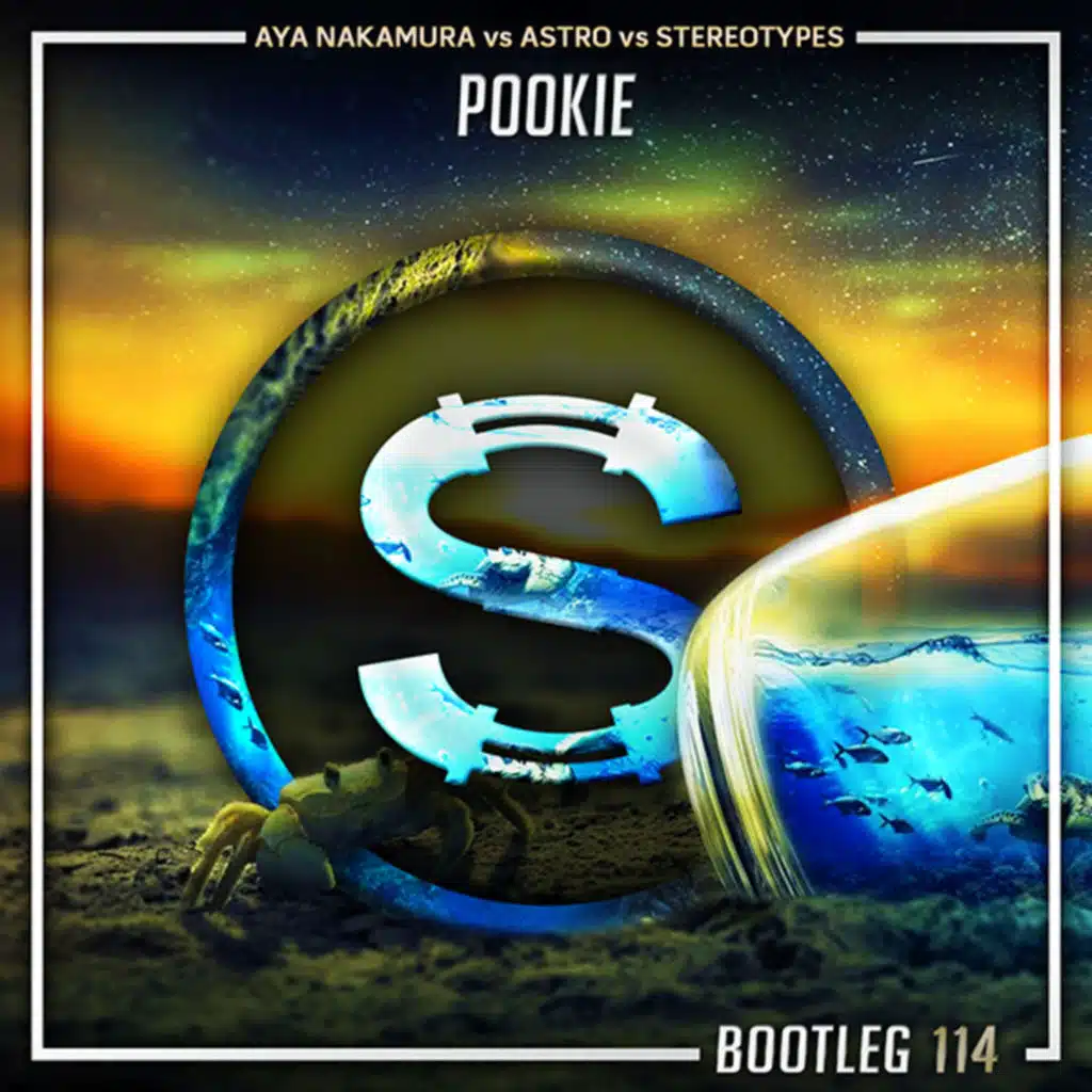 Aya Nakamura vs Astro vs Stereotypes - Pookie (Da Sylva bootleg)