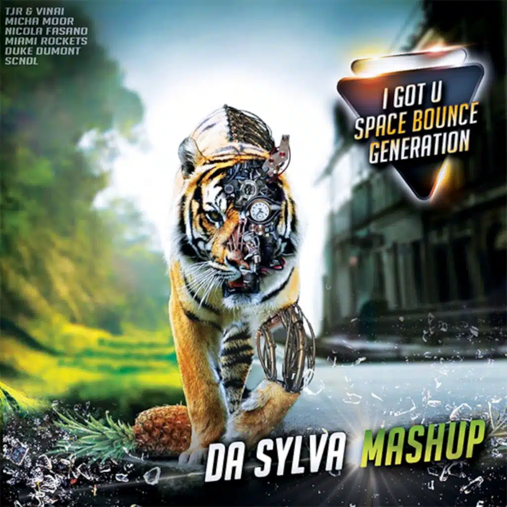 TJR & VINAI vs DUKE DUMONT vs MICHA MOOR vs SCNDL vs FASANO i got u space bounce generation (da sylva mashup)