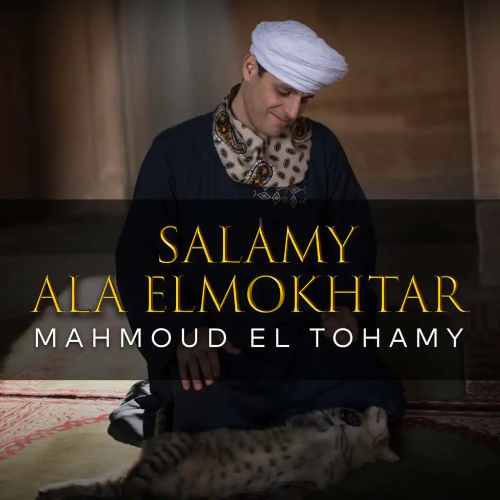 Salamy Ala ElMokhtar