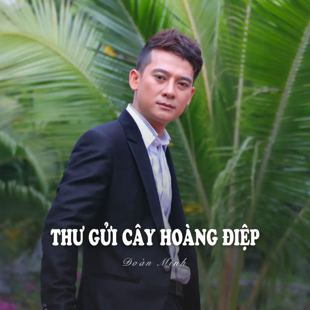 Thư Gửi Cây Hoàng Điệp (Ytmix)