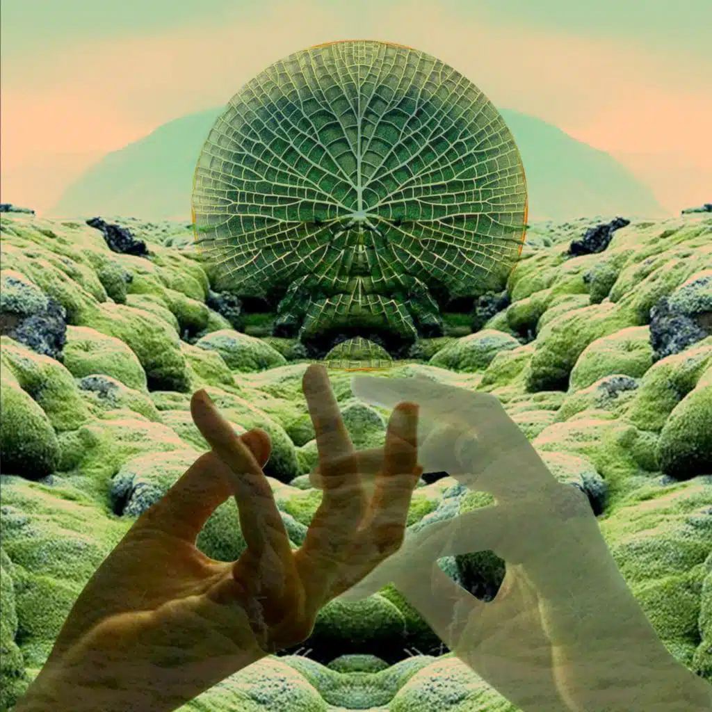 Everybody Wants to Love Somebody