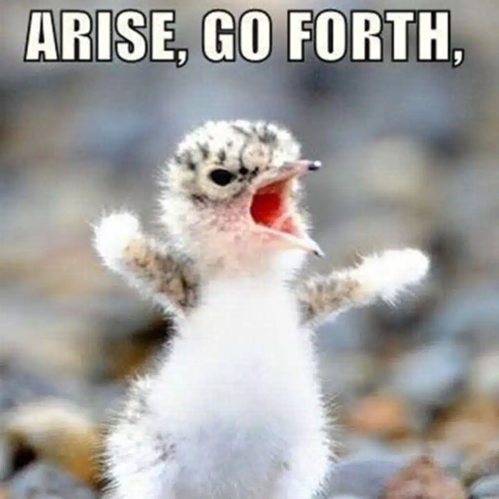 Words of Encouragement