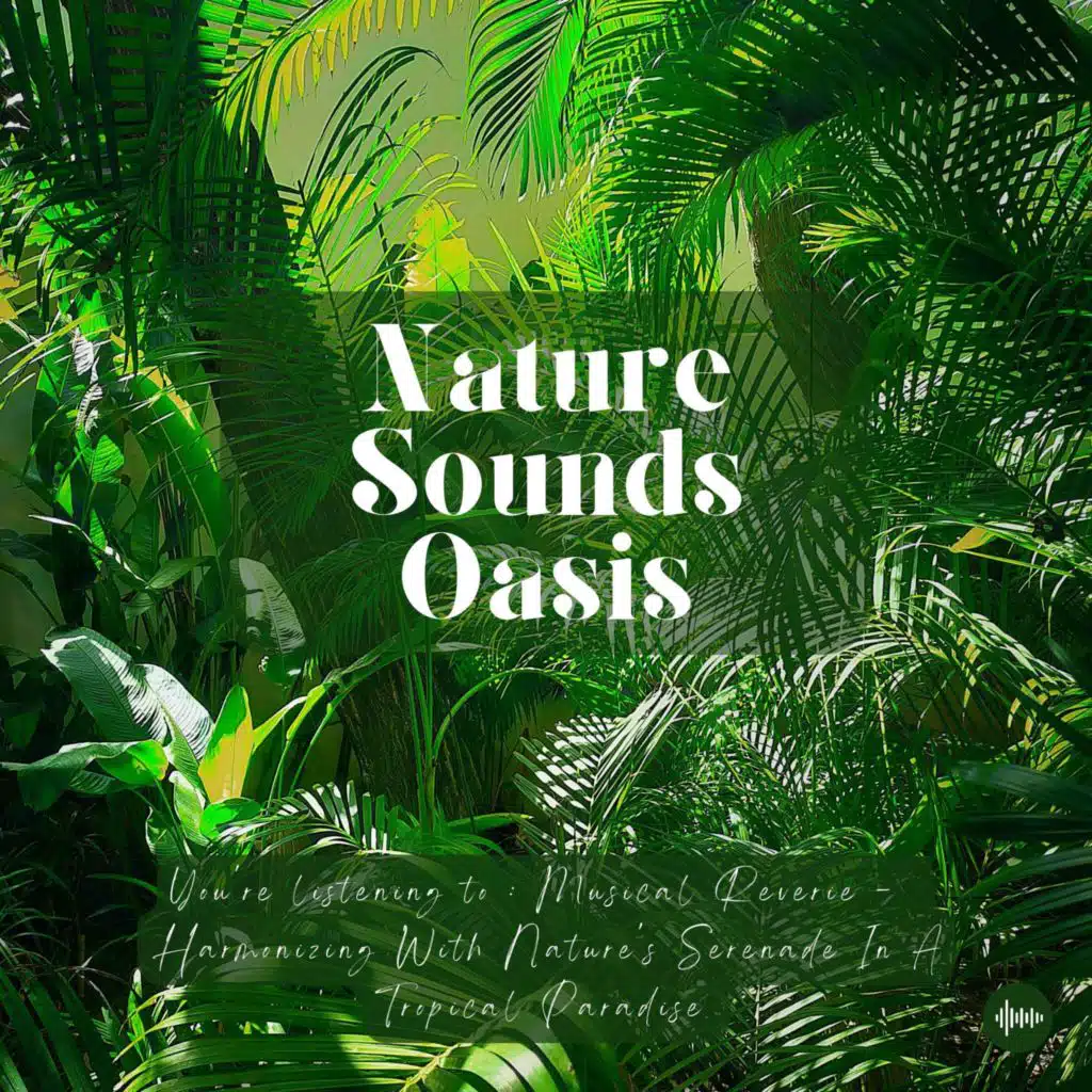 Fall Asleep Like A Baby & Escape To A Tropical Paradise With Relaxing Music & Nature Sounds | Sleep, Meditation, Relaxation Or Focus | Sleep Music, Me...