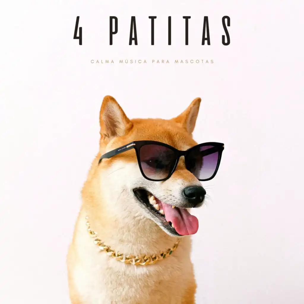 La Paz Del Perro