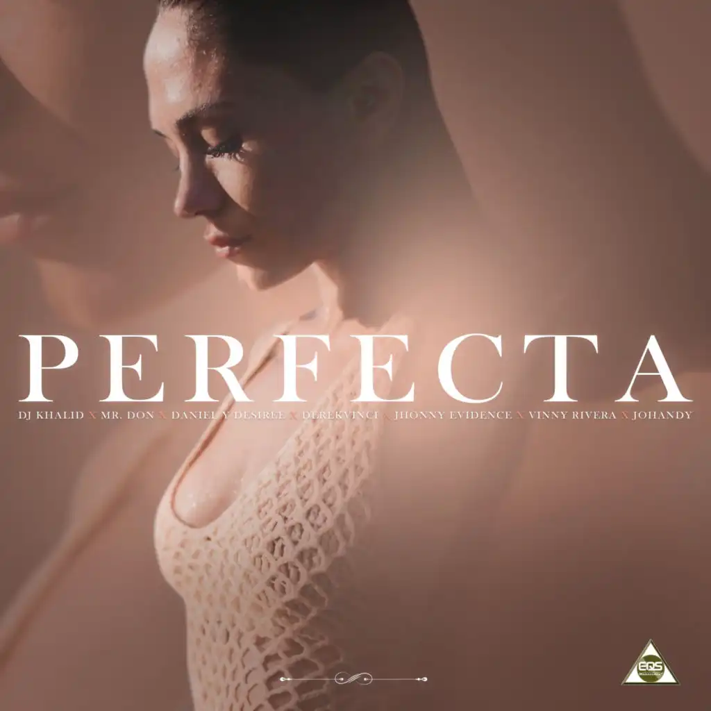 Perfecta (Bachata Version) [feat. Mr. Don, Vinny Rivera, Johandy & Jhonny Evidence]