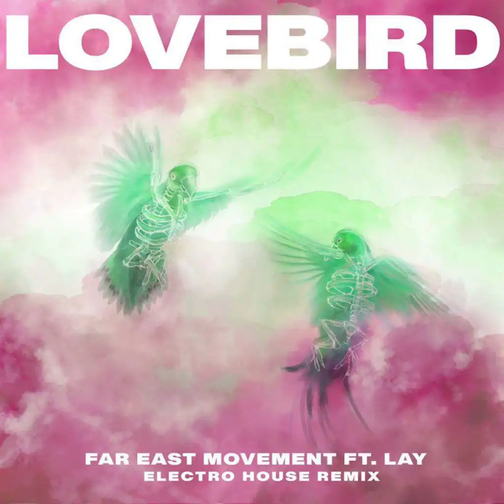 Lovebird (Electro House Remix)