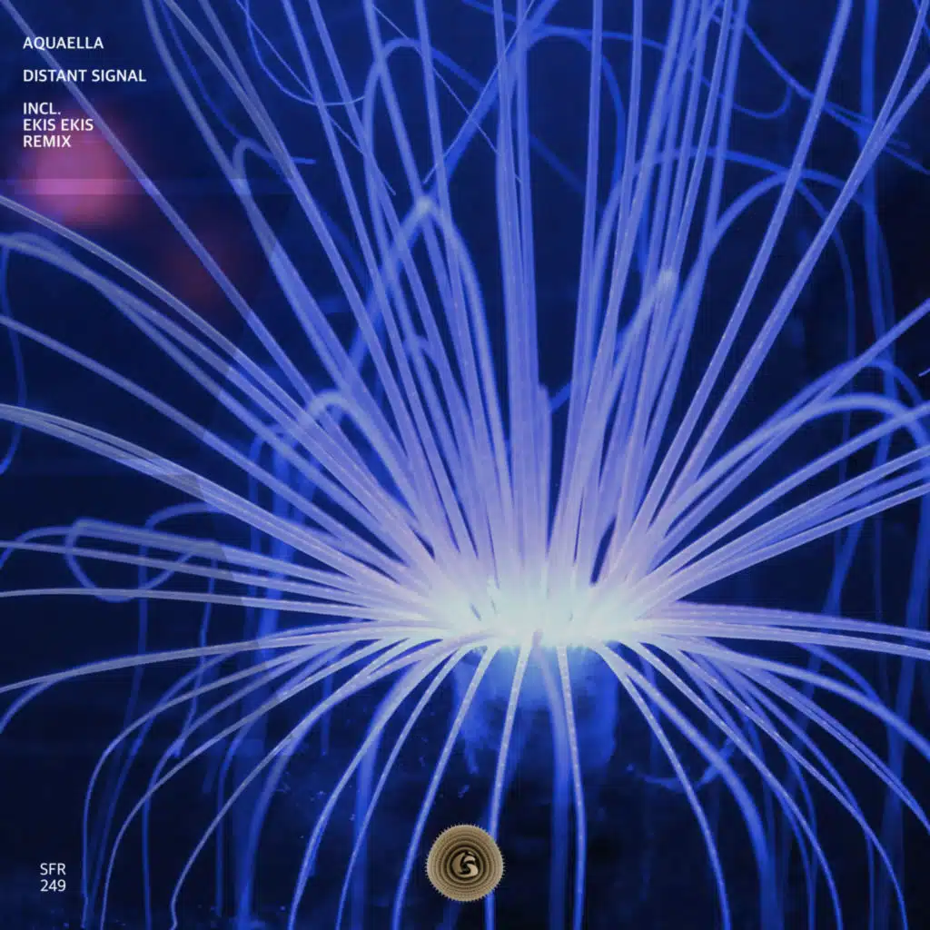 Distant Signal (EKIS EKIS Remix)