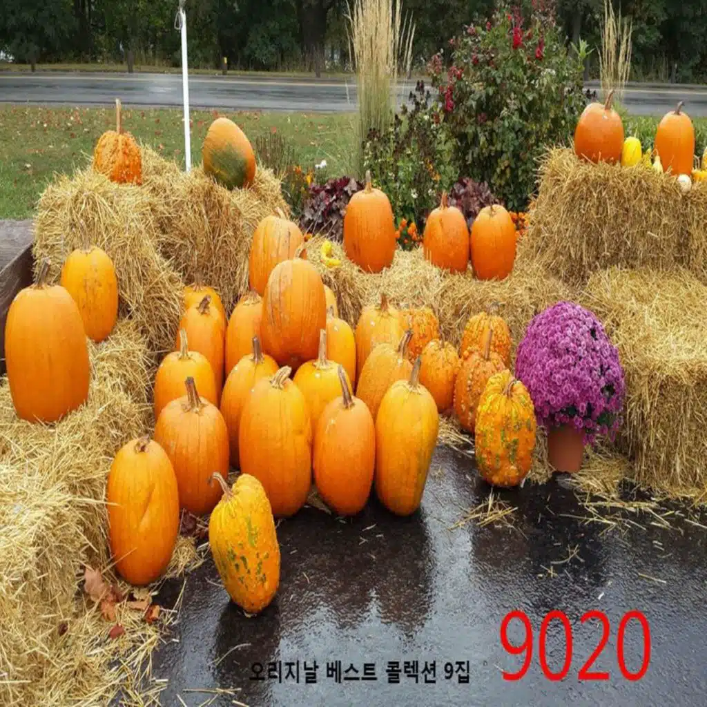 오리지날 베스트 콜렉션 9020 9집