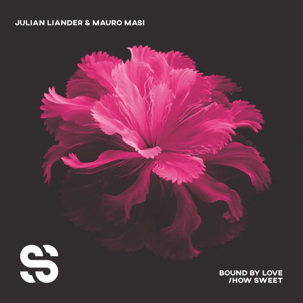 Julian Liander & Mauro Masi