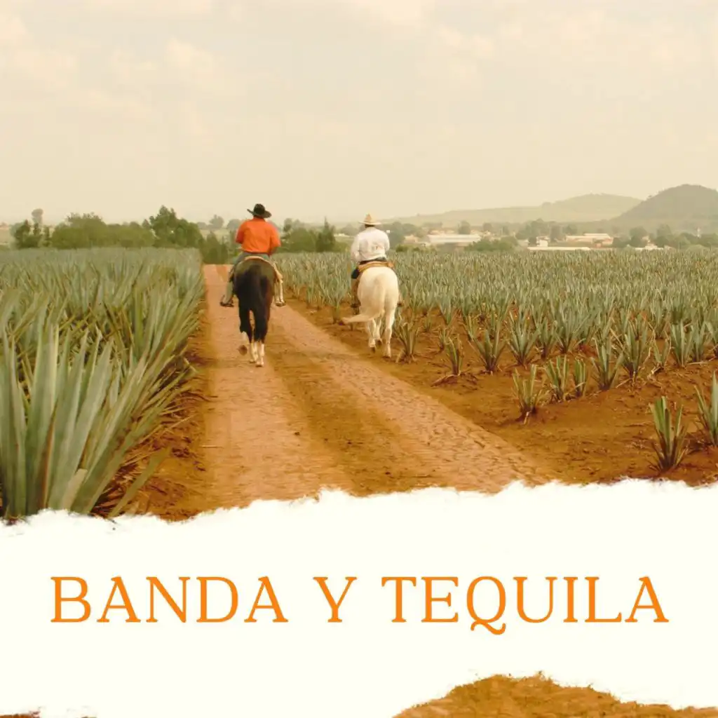 Banda y Tequila