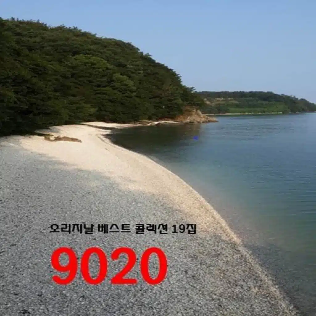 오리지날 베스트 콜렉션 9020 19집