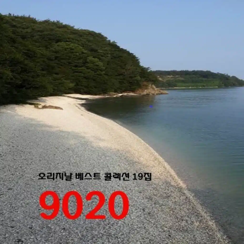 오리지날 베스트 콜렉션 9020 18집