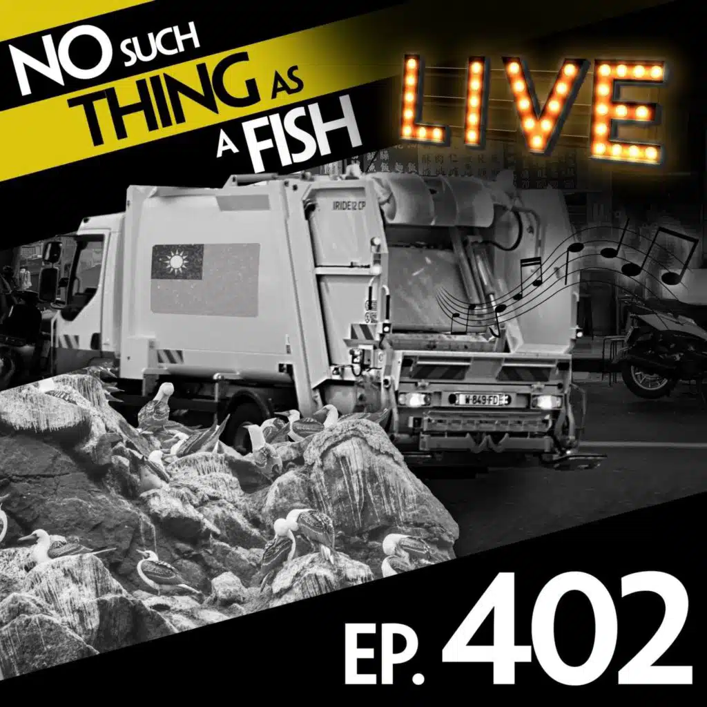 No Such Thing As A Pig Playing Fortnite