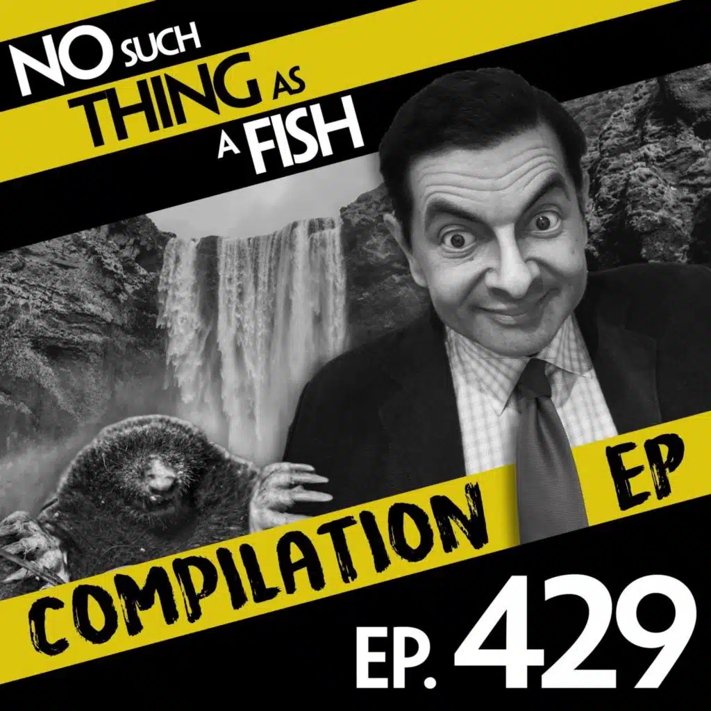 No Such Thing As Newsbite