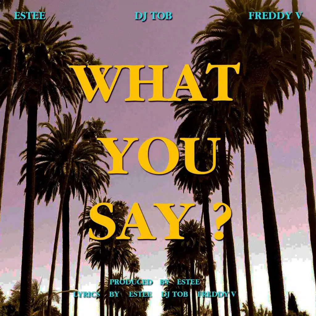 What You Say (feat. TOB Southside & Freddy V)