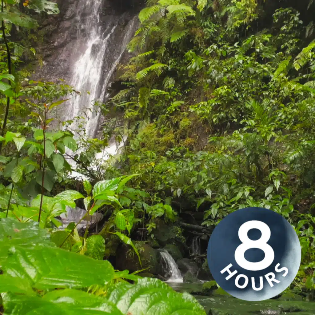 Waterfall White Noise and Nature Ambience | 8 Hour Sleep Sounds