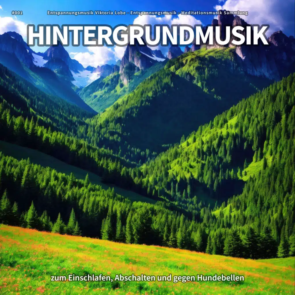 Entspannungsmusik Viktoria Lobe & Meditationsmusik Sammlung