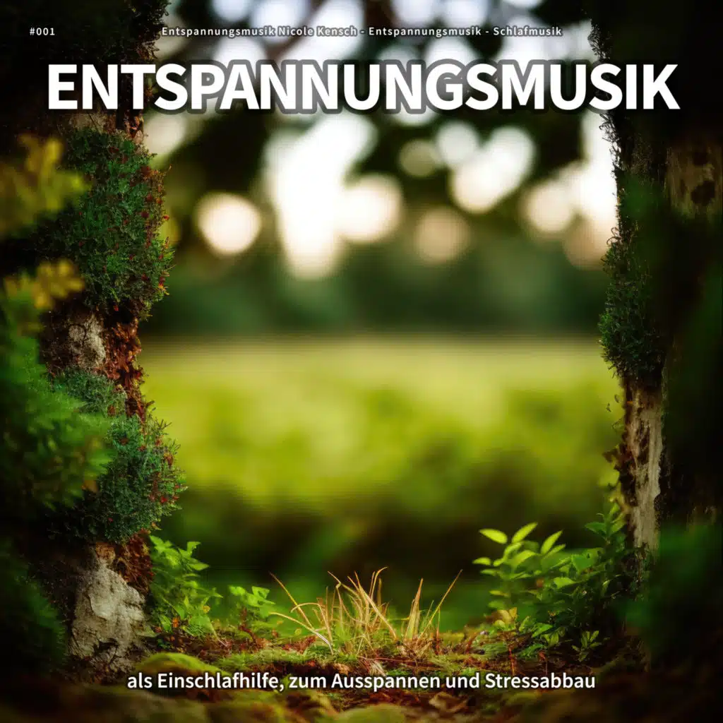 #001 Entspannungsmusik als Einschlafhilfe, zum Ausspannen und Stressabbau