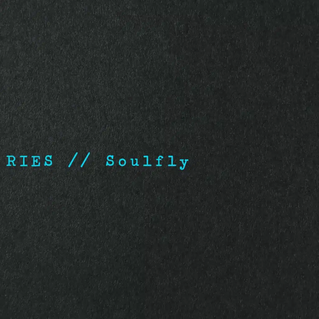 Soulfly (Chillout Rework)