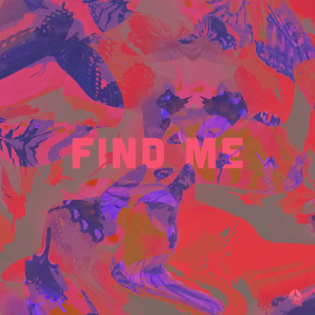 Find Me (Blank Page Extended Version)