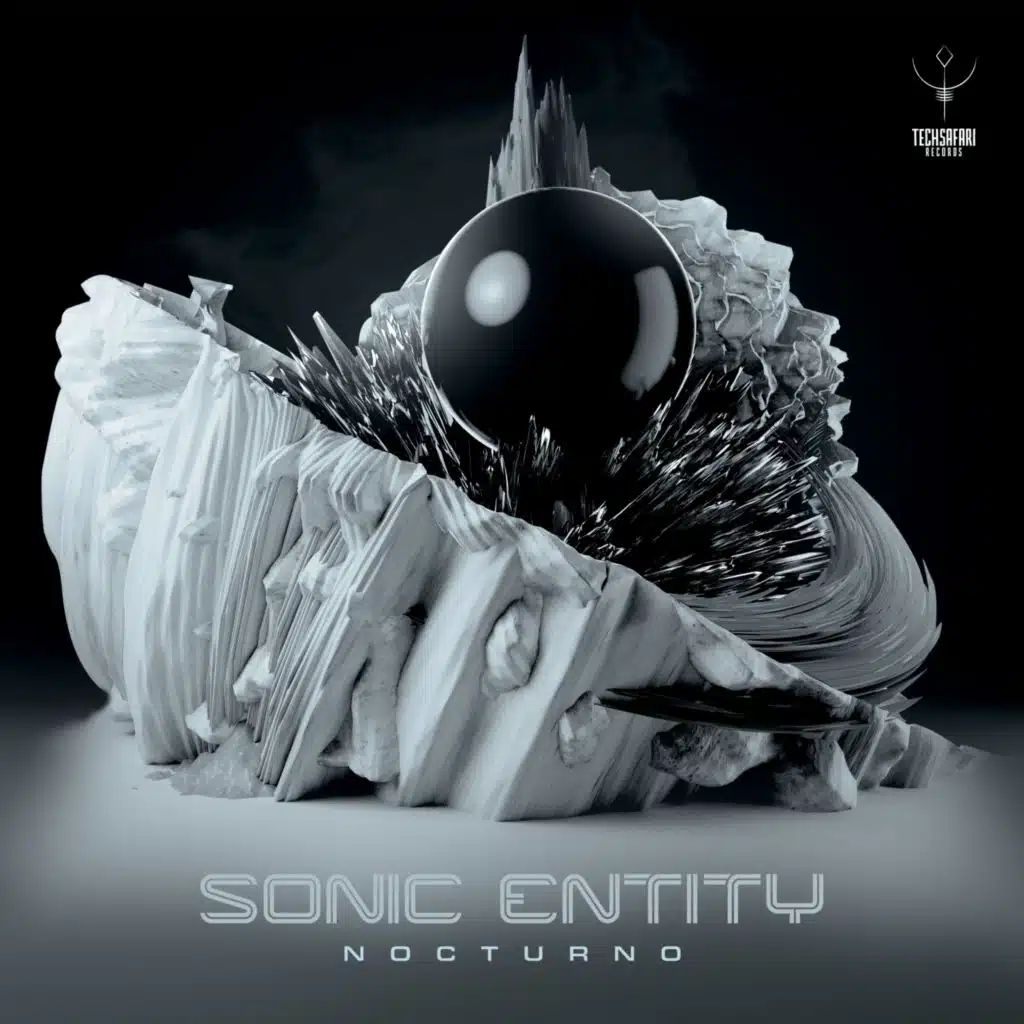 Sonic Entity