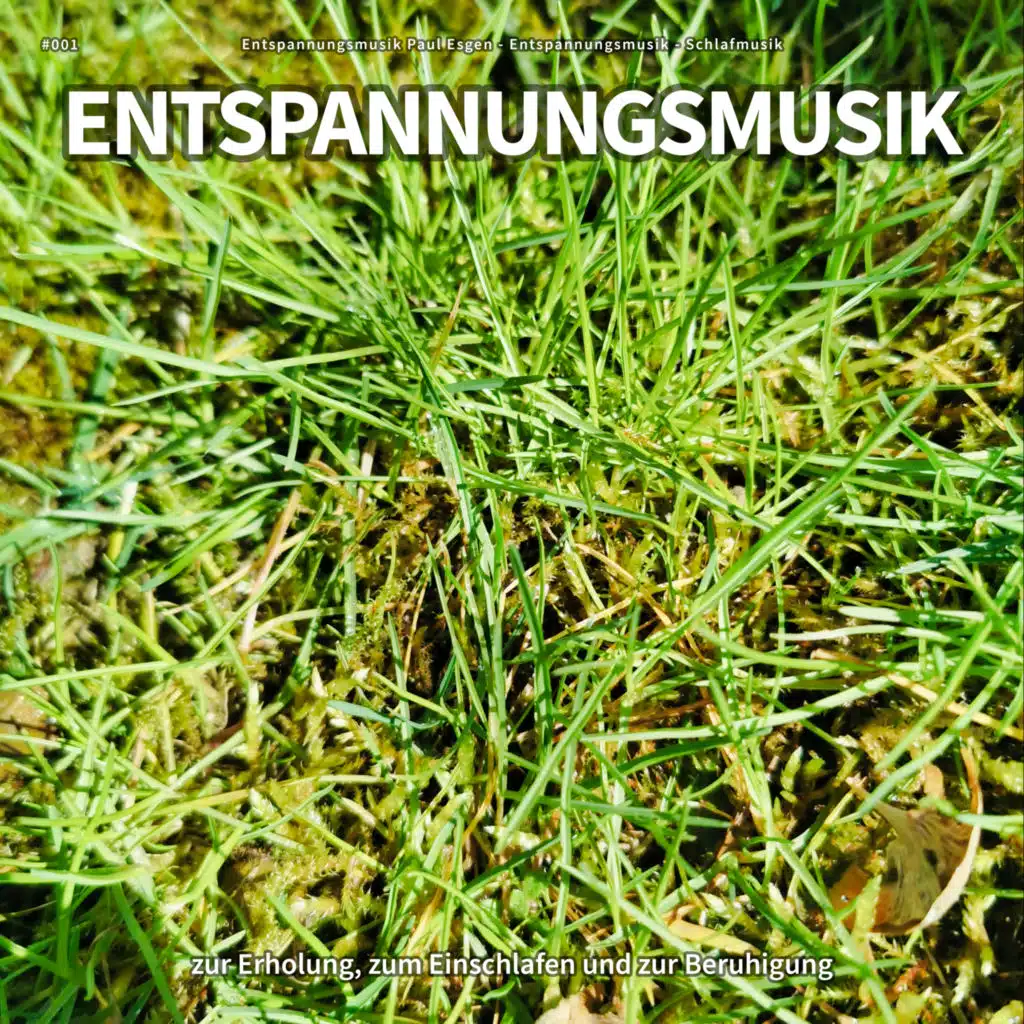 #001 Entspannungsmusik zur Erholung, zum Einschlafen und zur Beruhigung