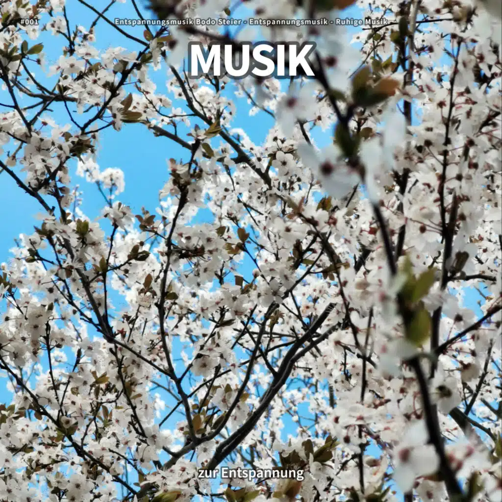 #001 Musik zur Entspannung