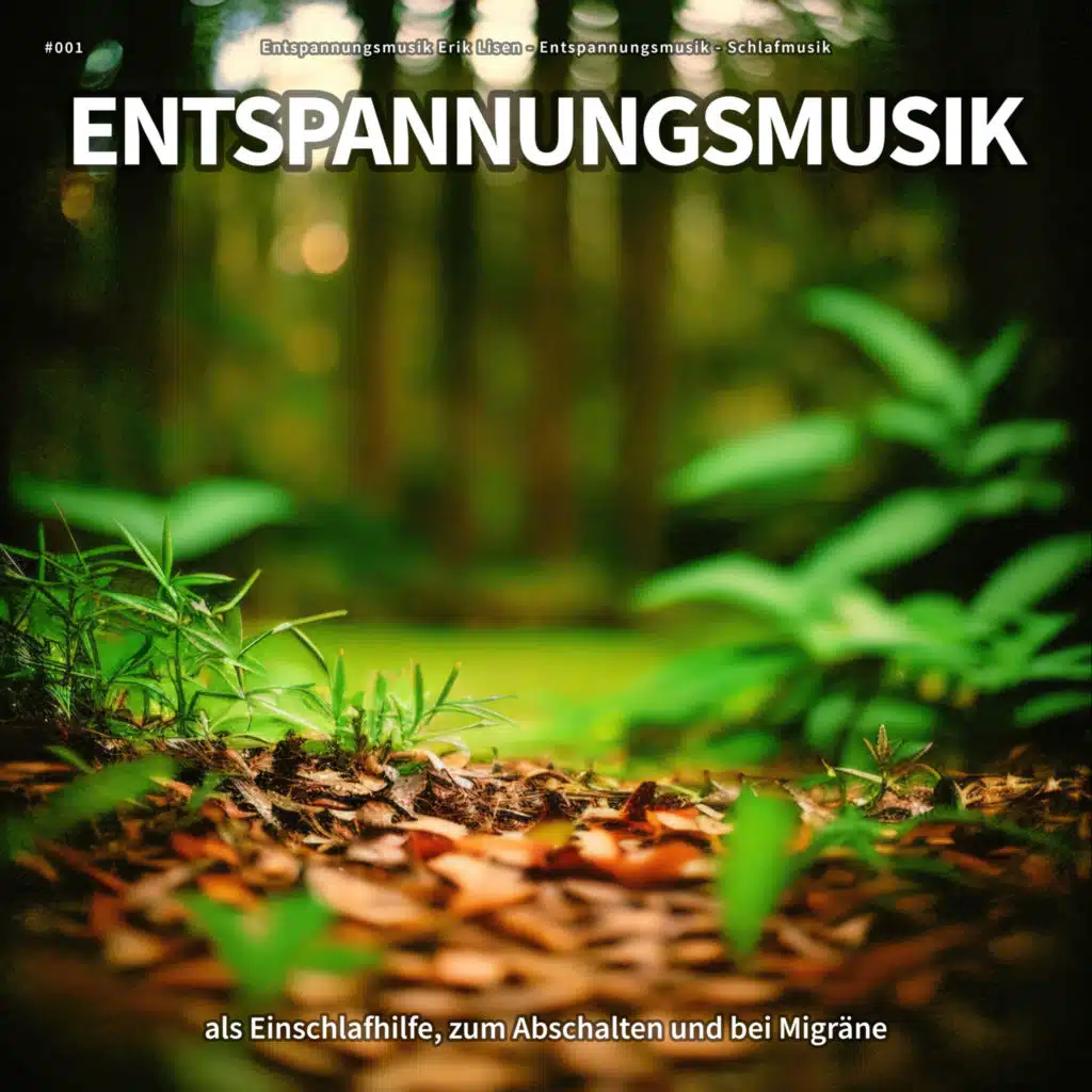Entspannungsmusik Erik Lisen & Schlafmusik