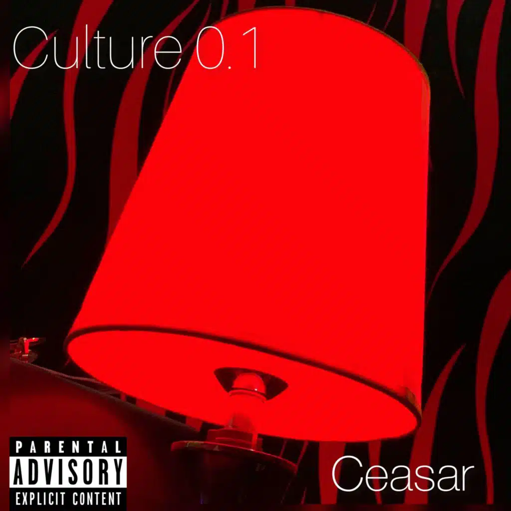 Culture 0.1