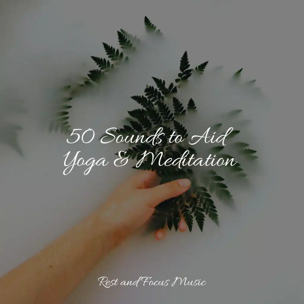 50 Sounds to Aid Yoga & Meditation